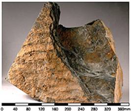 Siltstone of the Ping Chau Formation